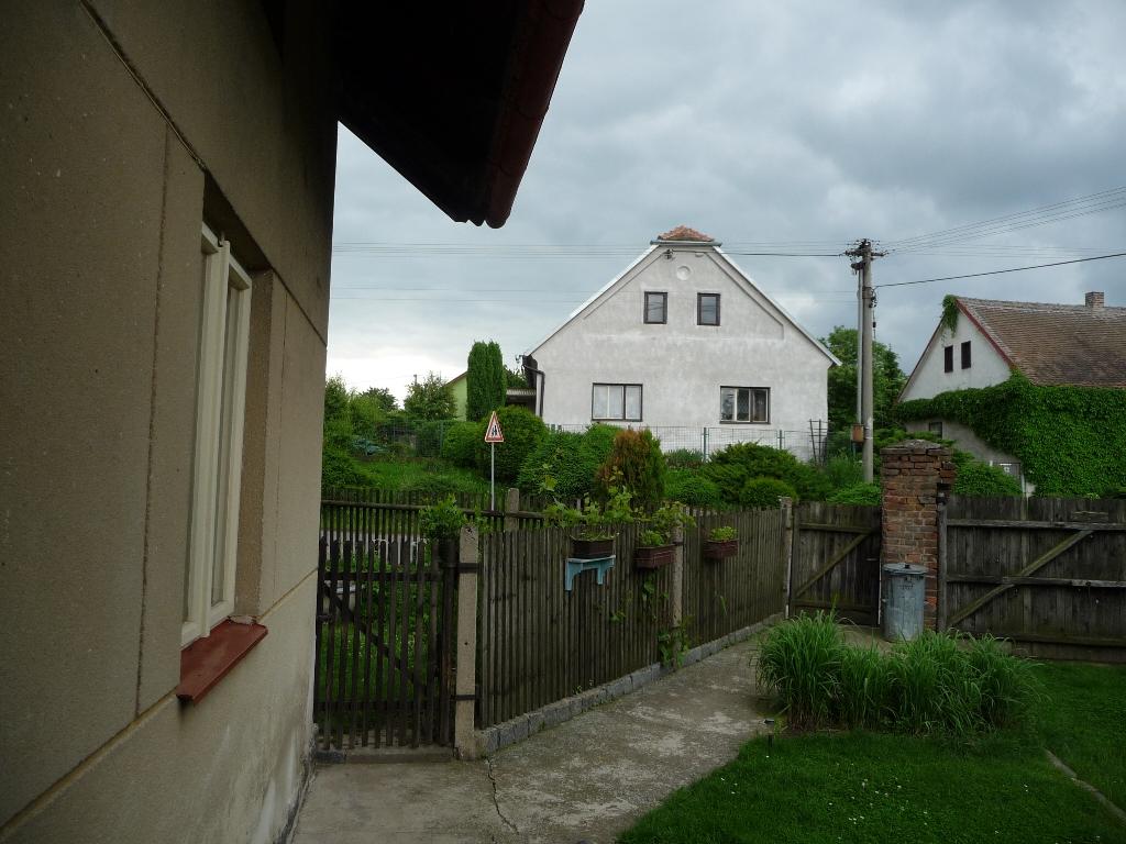 Třibřichy